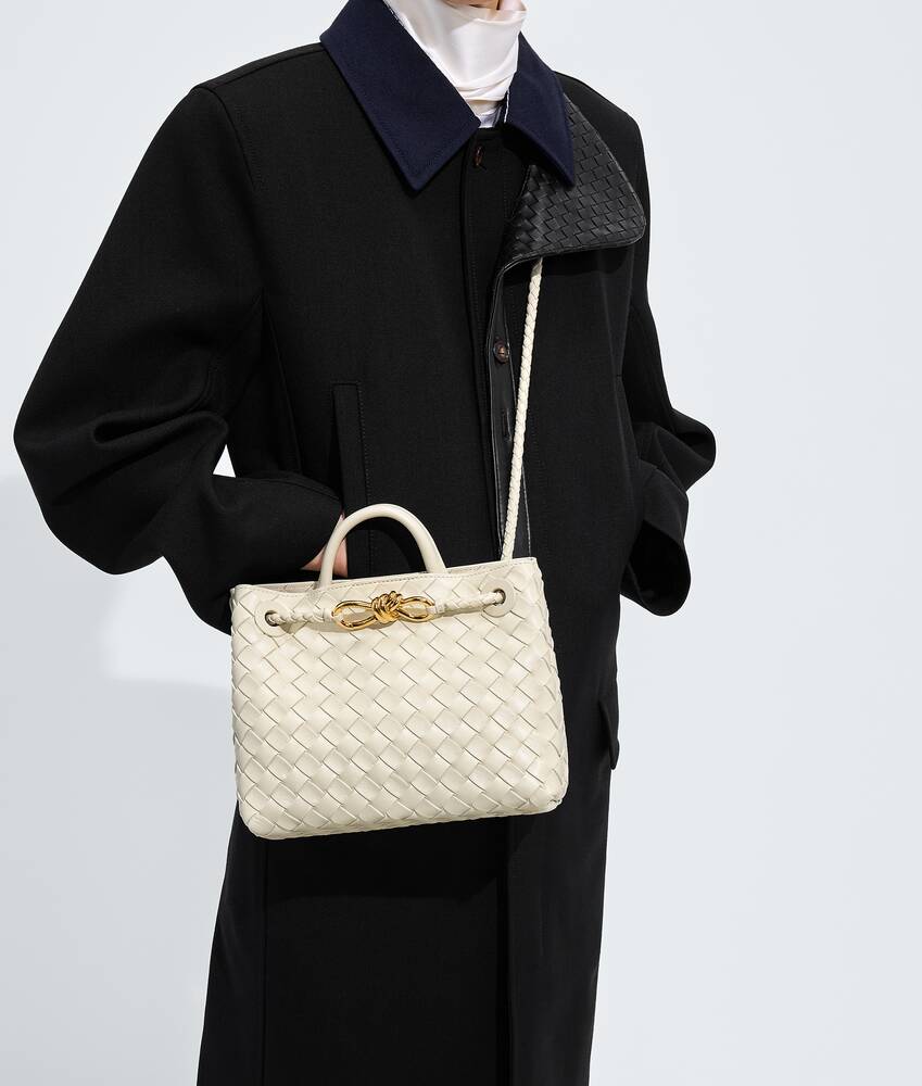 BOTTEGA VENETA 小号Andiamo手提包
