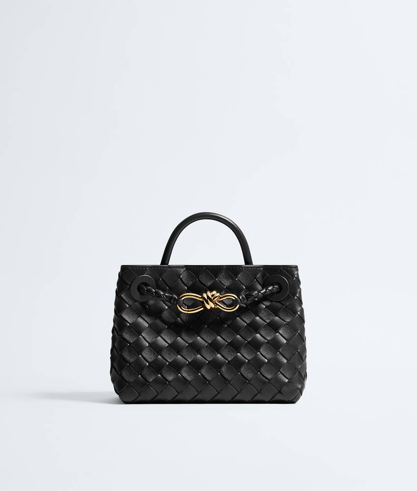 BOTTEGA VENETA 迷你Andiamo手提包