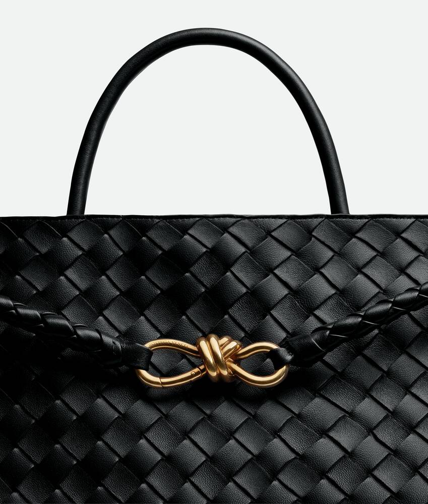 BOTTEGA VENETA Andiamo大号手提包