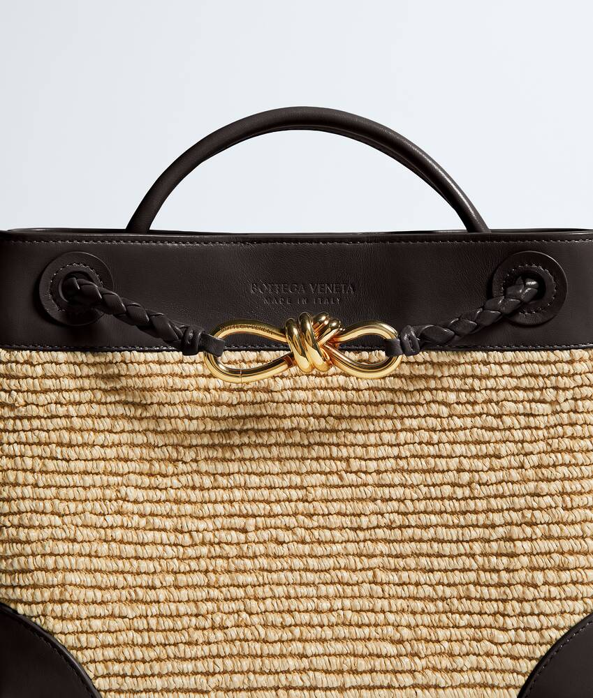 BOTTEGA VENETA 小号Andiamo手提包