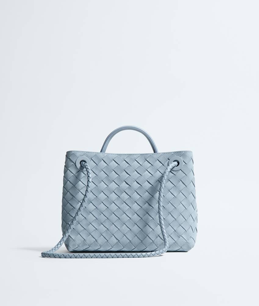 BOTTEGA VENETA 小号Andiamo手提包