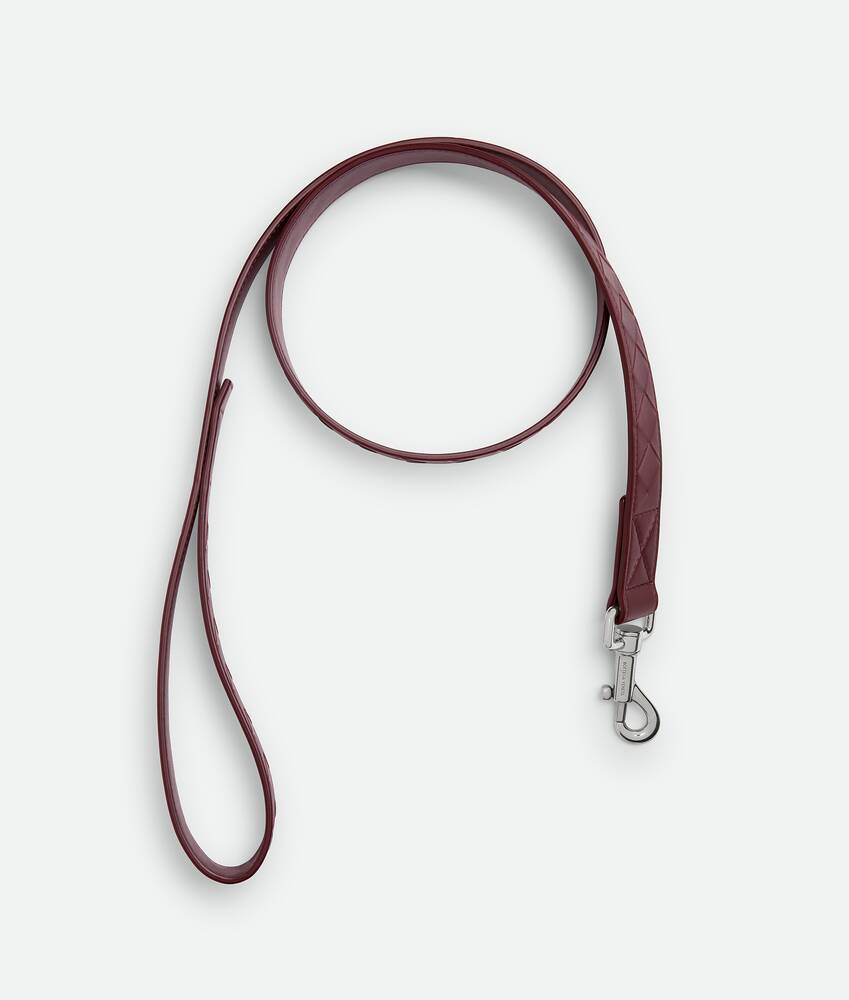 BOTTEGA VENETA 中号Intrecciato编织宠物狗牵引绳