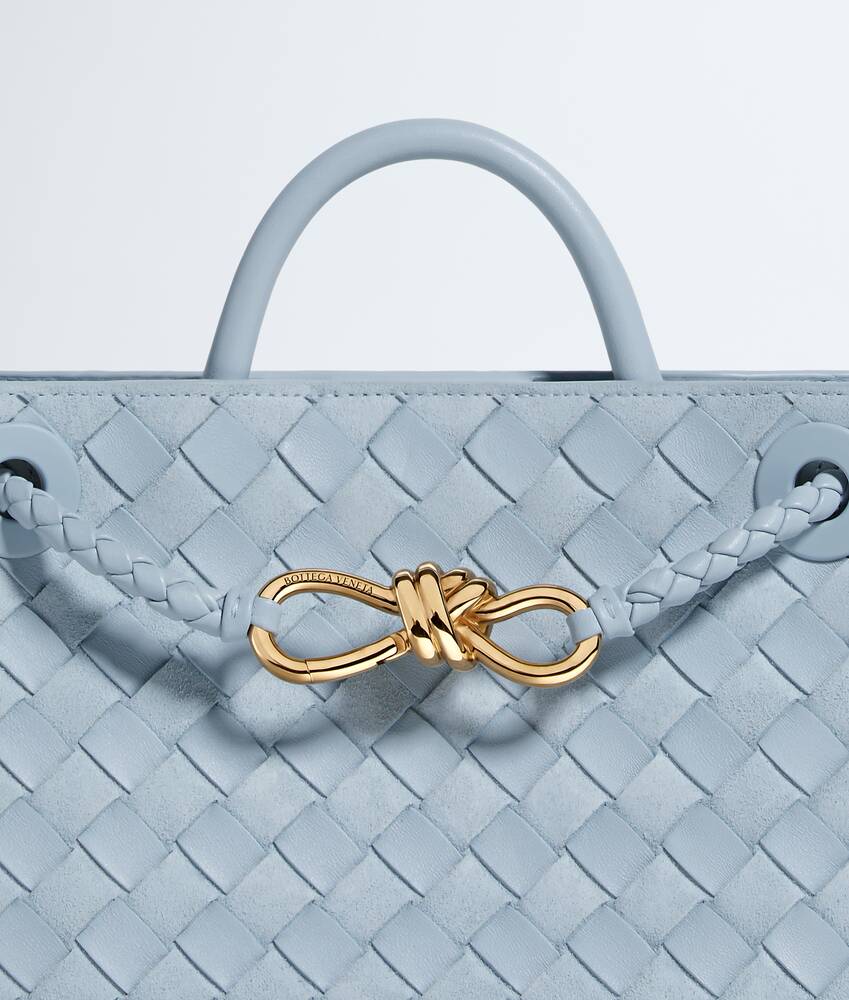 BOTTEGA VENETA 小号Andiamo手提包