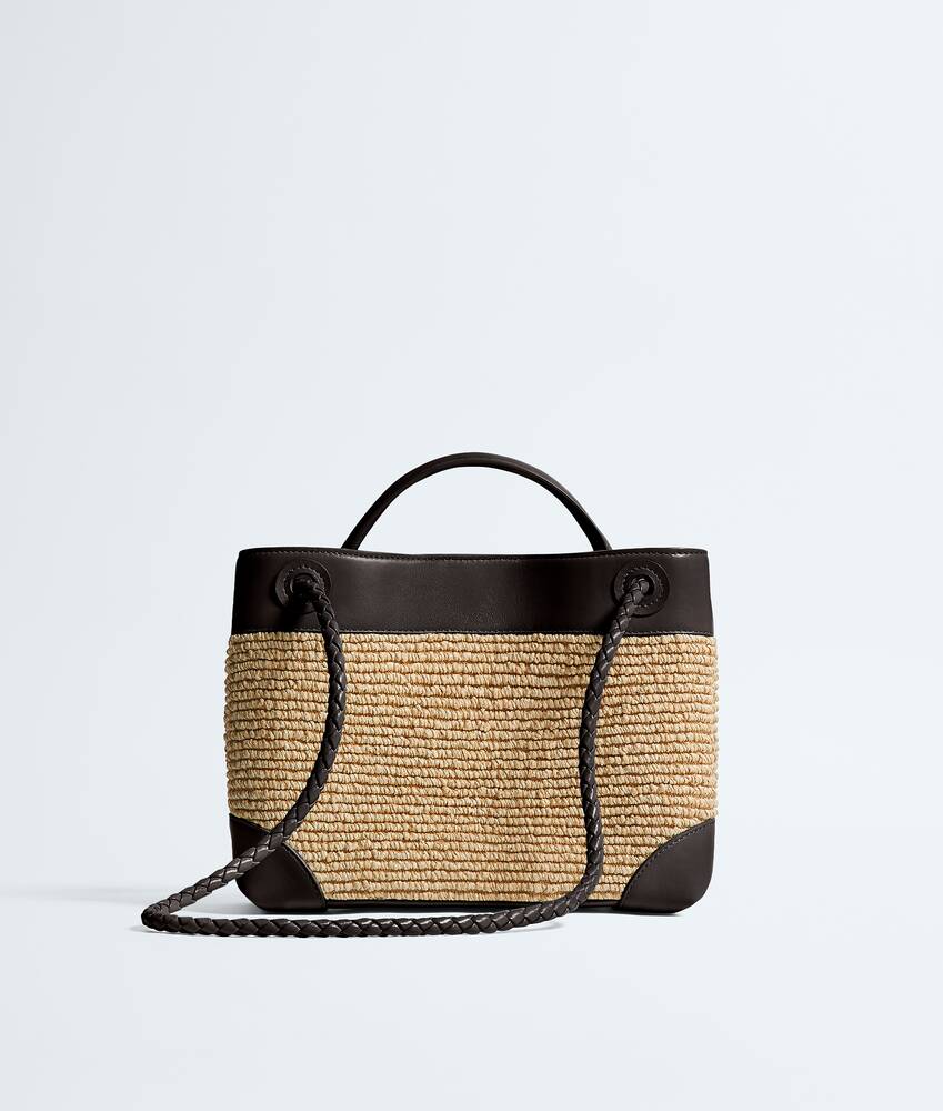 BOTTEGA VENETA 小号Andiamo手提包