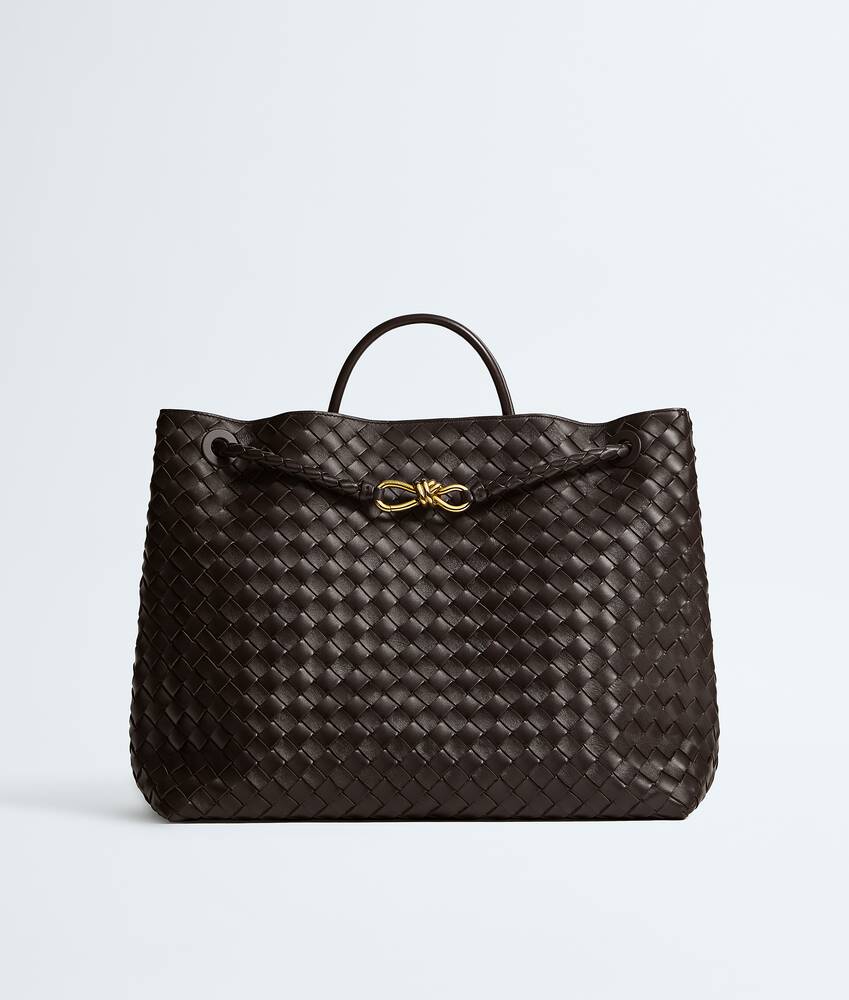 BOTTEGA VENETA Andiamo大号手提包