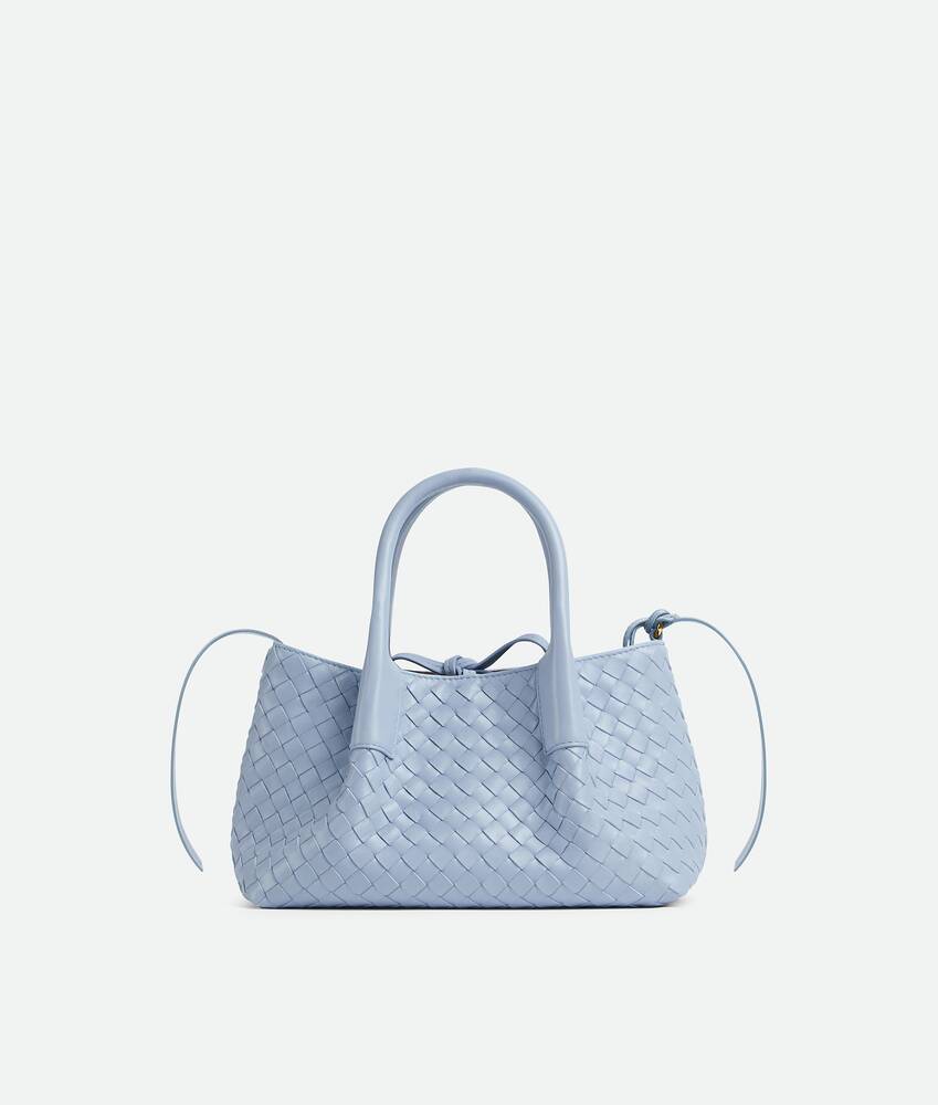 BOTTEGA VENETA Pinacoteca小号托特手袋