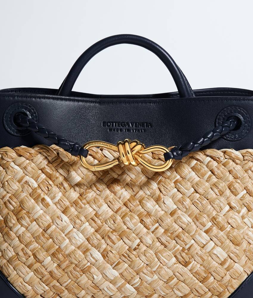 BOTTEGA VENETA 小号Andiamo手提包