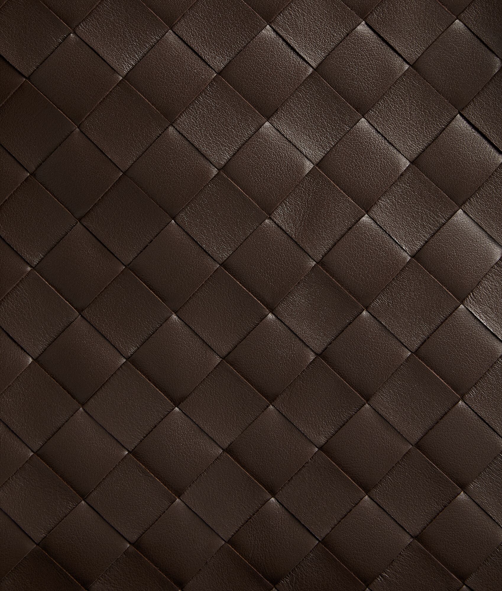 BOTTEGA VENETA Back To School背包