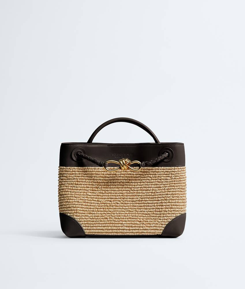 BOTTEGA VENETA 小号Andiamo手提包