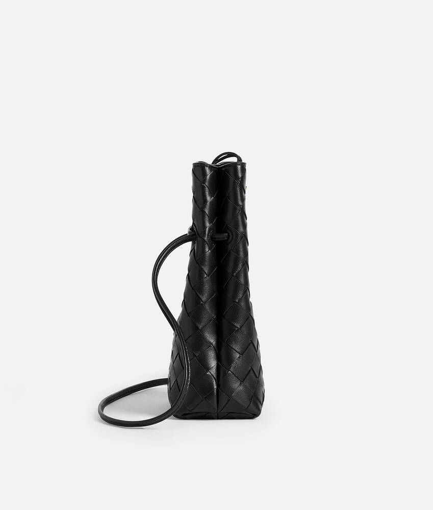 BOTTEGA VENETA Andiamo手机包