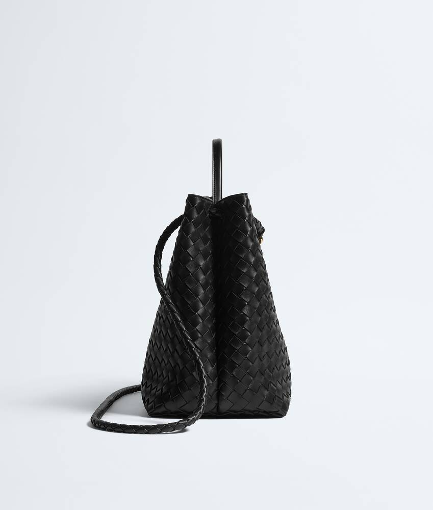 BOTTEGA VENETA Andiamo大号手提包