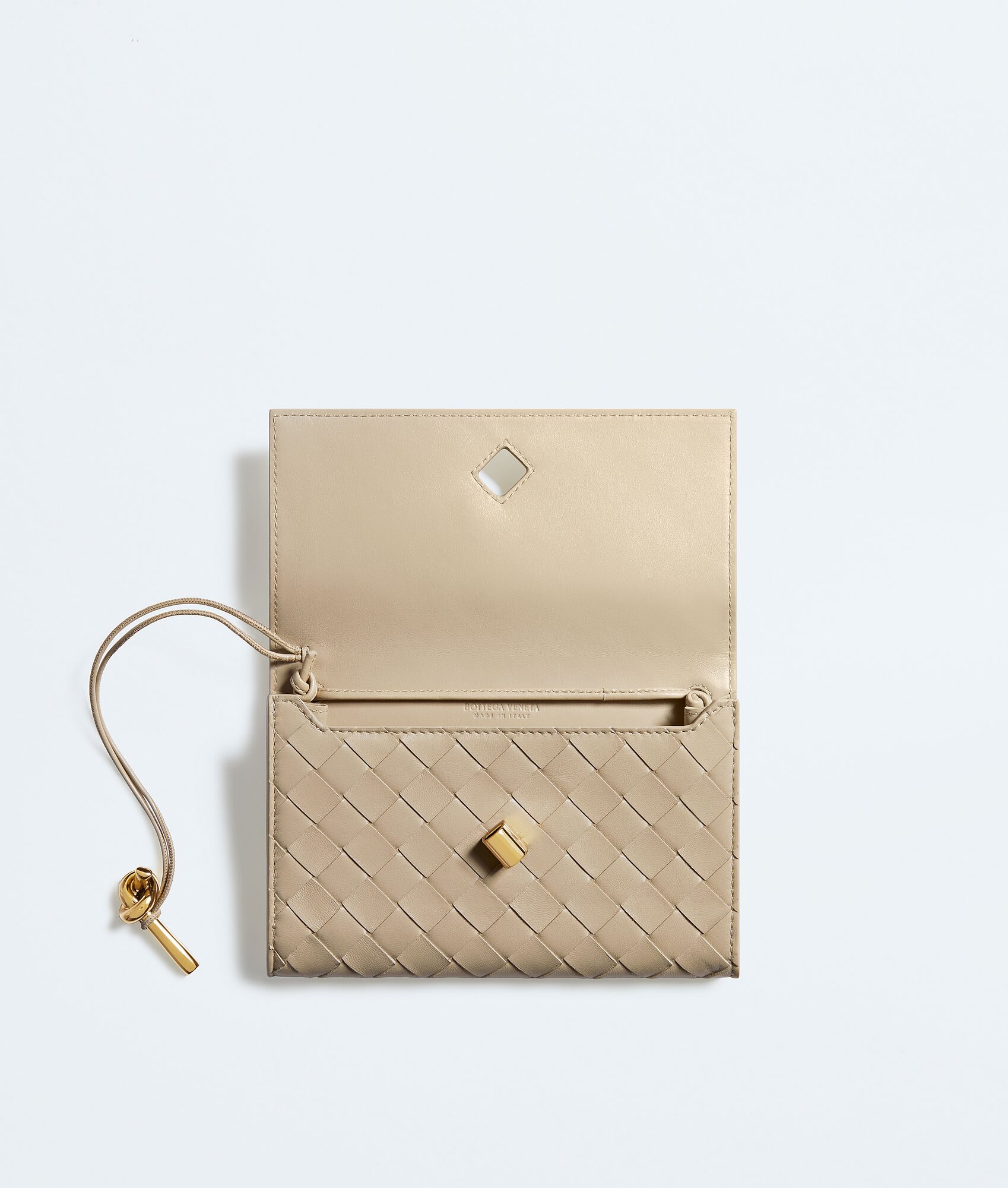 BOTTEGA VENETA Andiamo背带手拿包