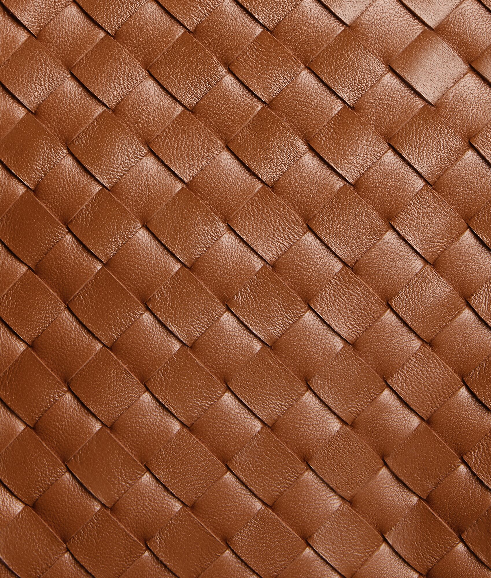 BOTTEGA VENETA 大号Pinacoteca托特手袋