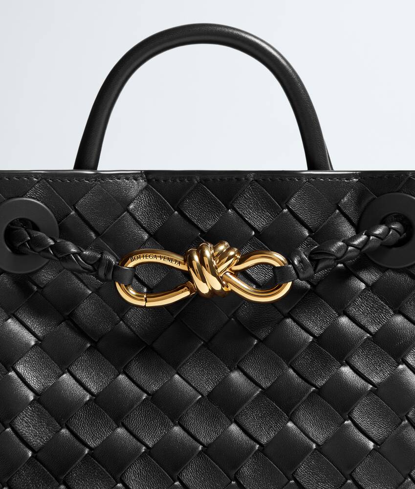 BOTTEGA VENETA 迷你Andiamo手提包