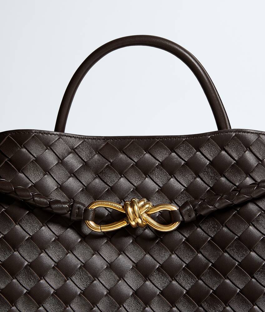 BOTTEGA VENETA Andiamo大号手提包