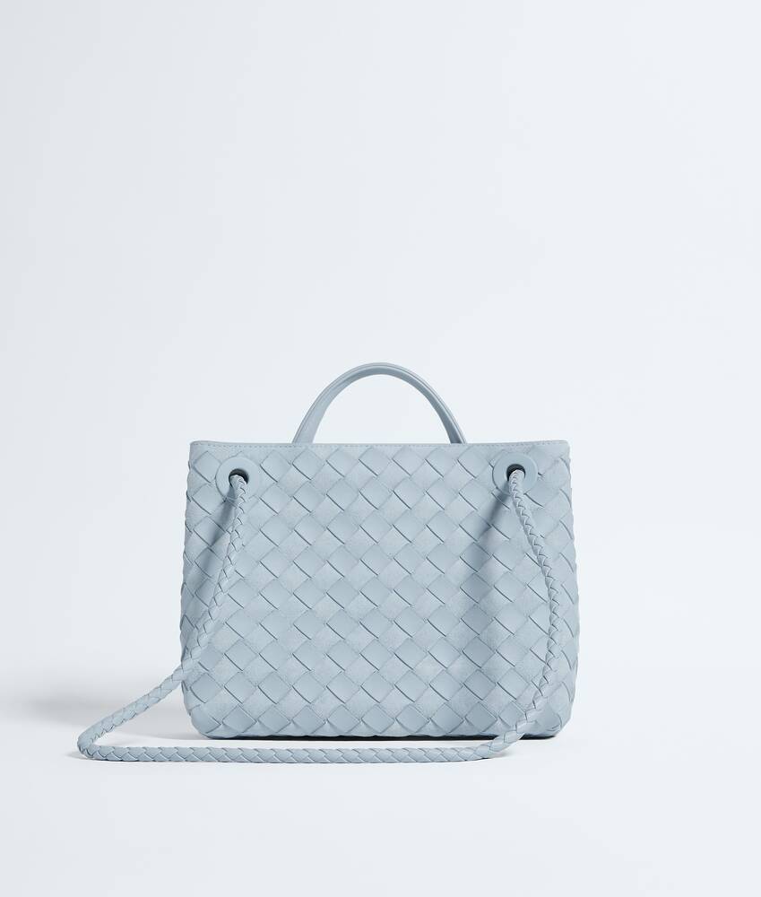 BOTTEGA VENETA 小号Andiamo手提包