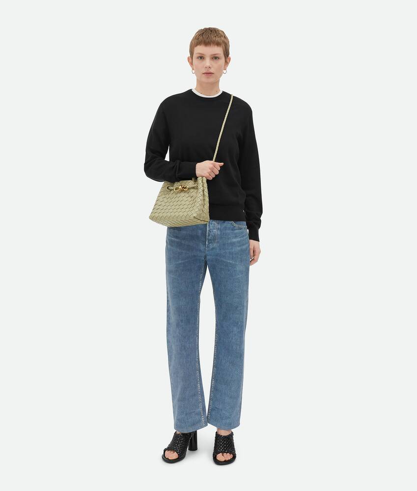 BOTTEGA VENETA 小号Andiamo手提包