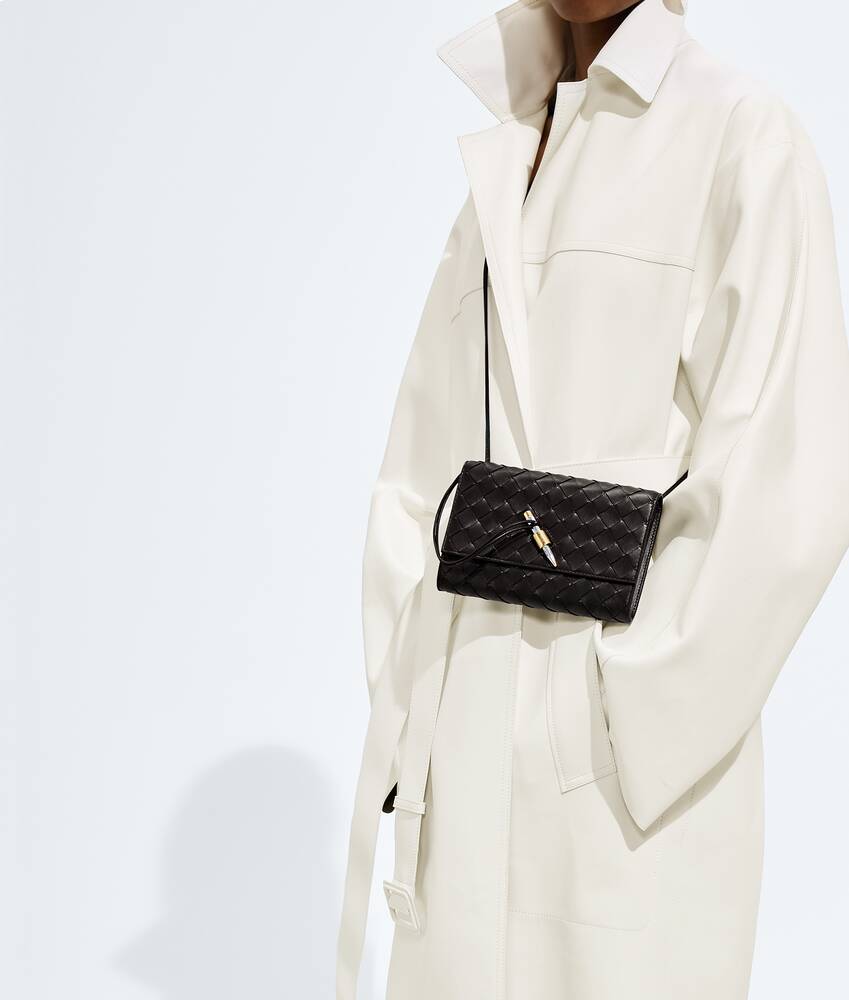 BOTTEGA VENETA Andiamo背带手拿包