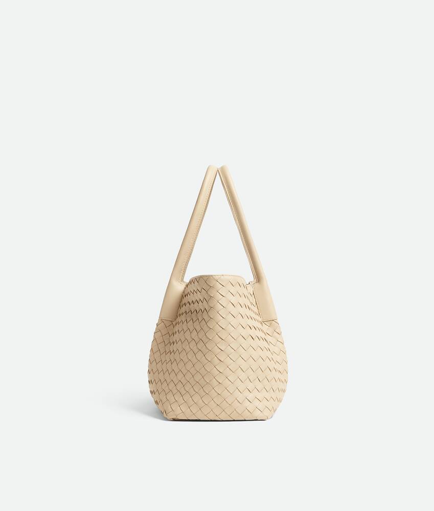 BOTTEGA VENETA Pinacoteca托特手袋