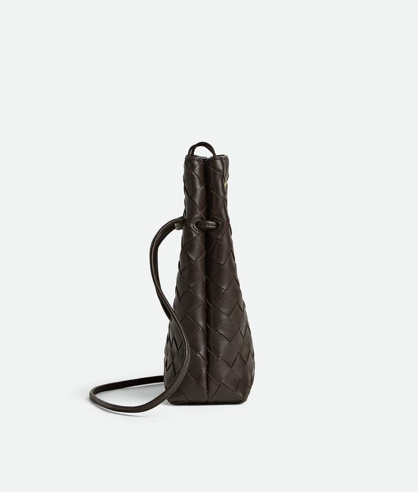 BOTTEGA VENETA Andiamo手机包