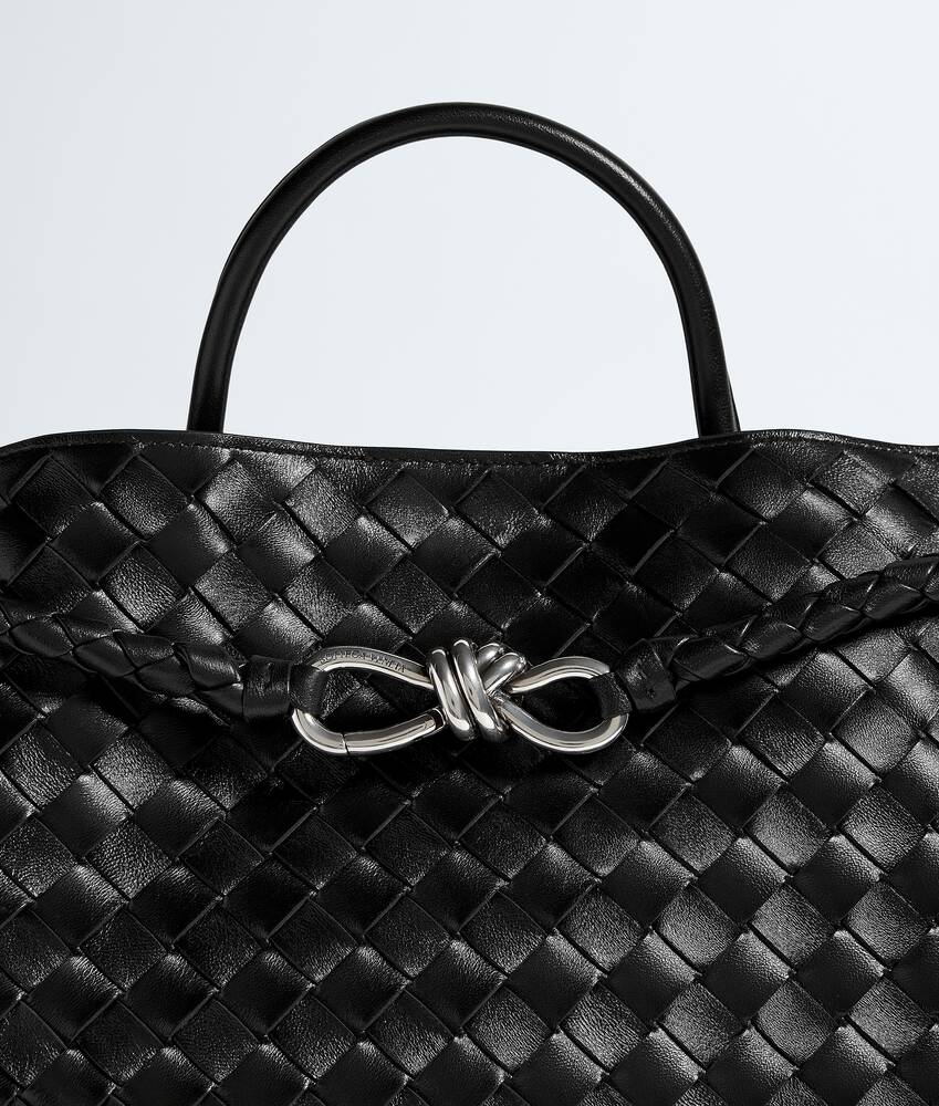 BOTTEGA VENETA Andiamo大号手提包