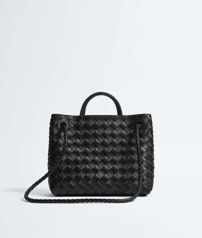 BOTTEGA VENETA 小号Andiamo手提包