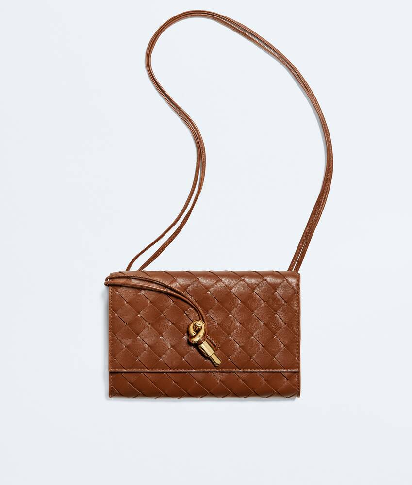 BOTTEGA VENETA Andiamo背带手拿包