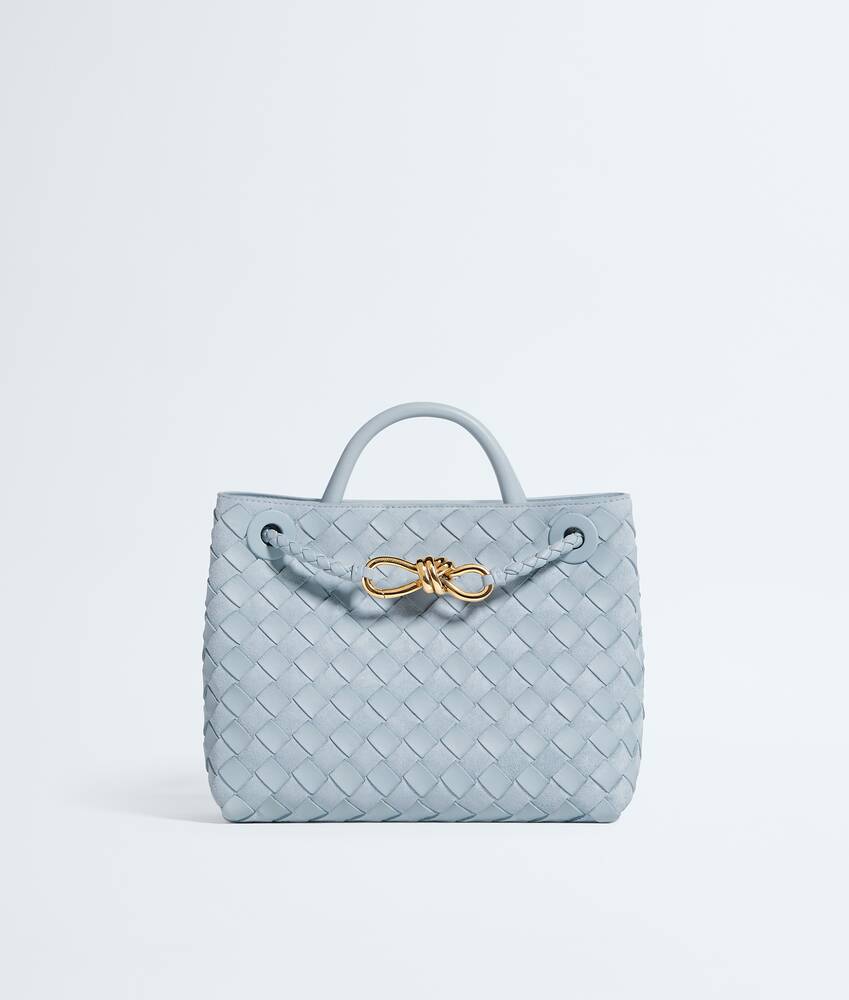 BOTTEGA VENETA 小号Andiamo手提包