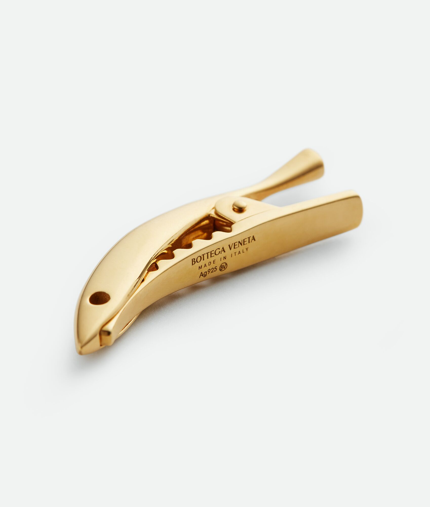 BOTTEGA VENETA Sardine发夹