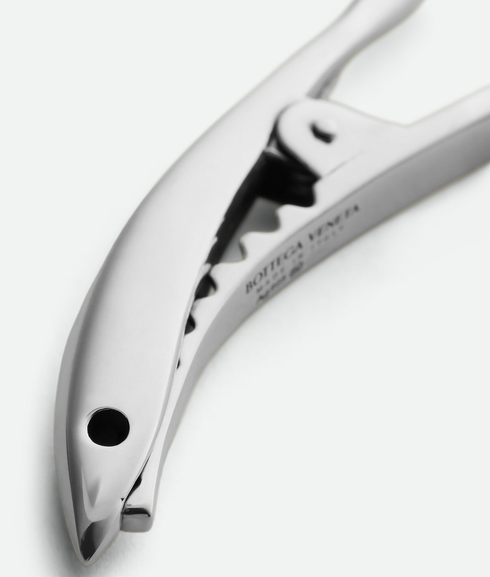 BOTTEGA VENETA Sardine发夹