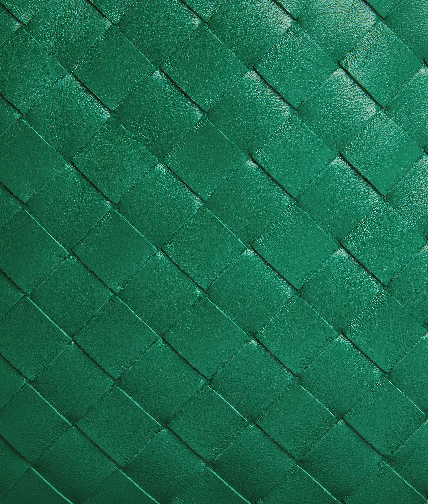 BOTTEGA VENETA Dustbag手拿包