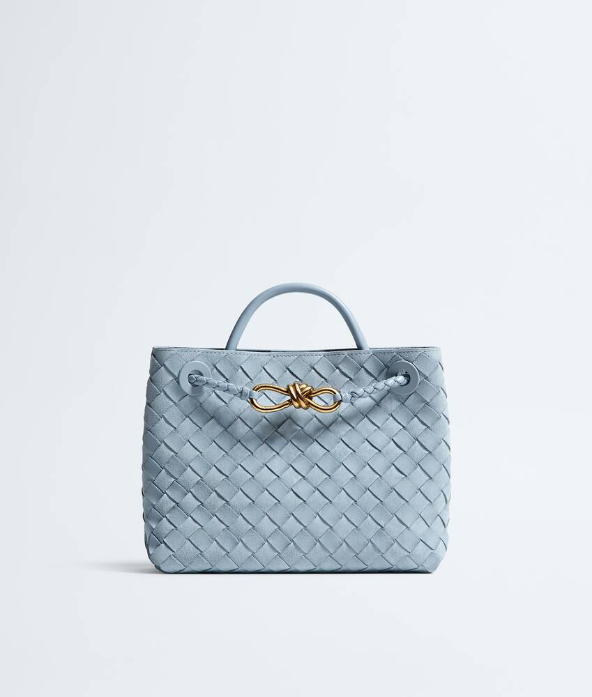 BOTTEGA VENETA 小号Andiamo手提包