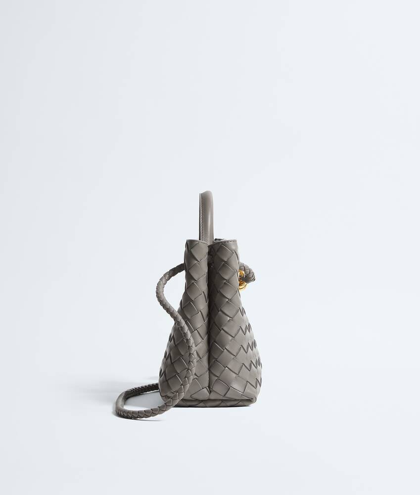 BOTTEGA VENETA 小号Andiamo手提包