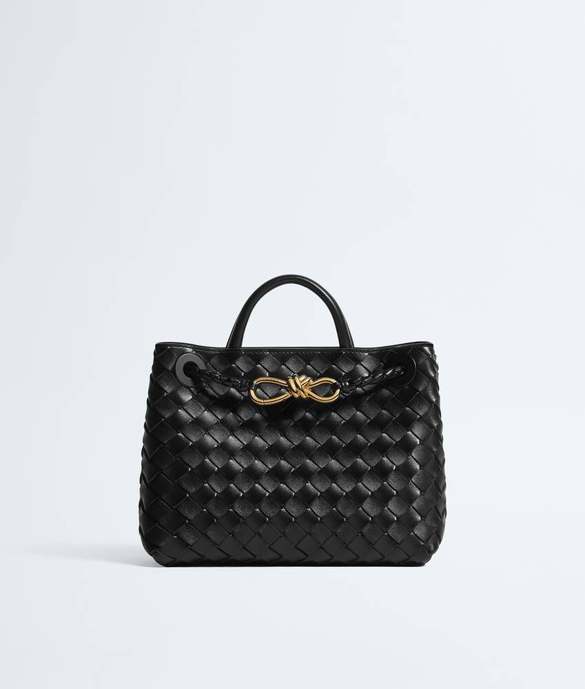 BOTTEGA VENETA 小号Andiamo手提包
