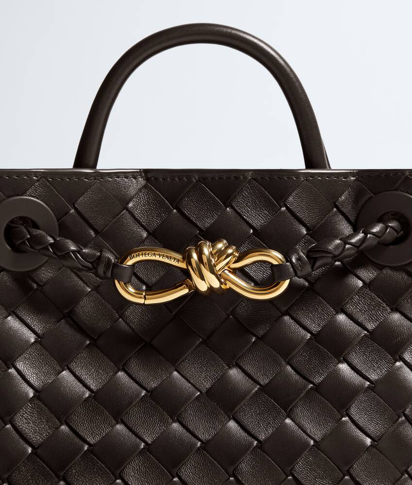 BOTTEGA VENETA 迷你Andiamo手提包