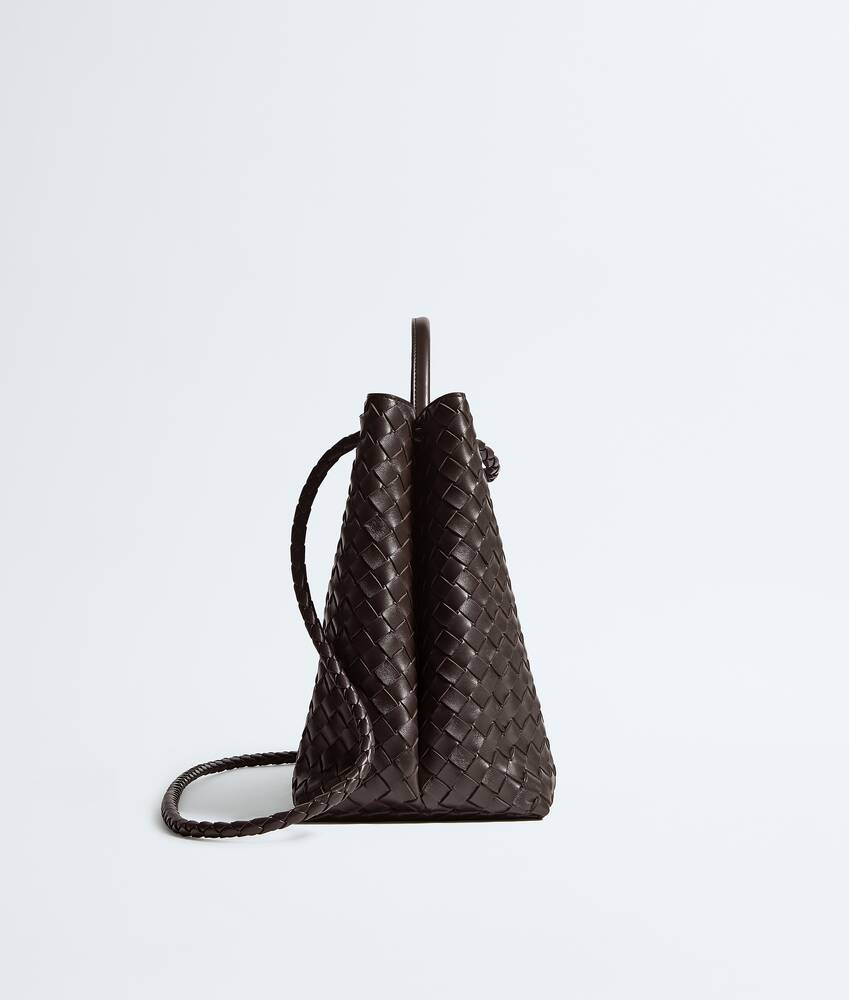 BOTTEGA VENETA Andiamo大号手提包