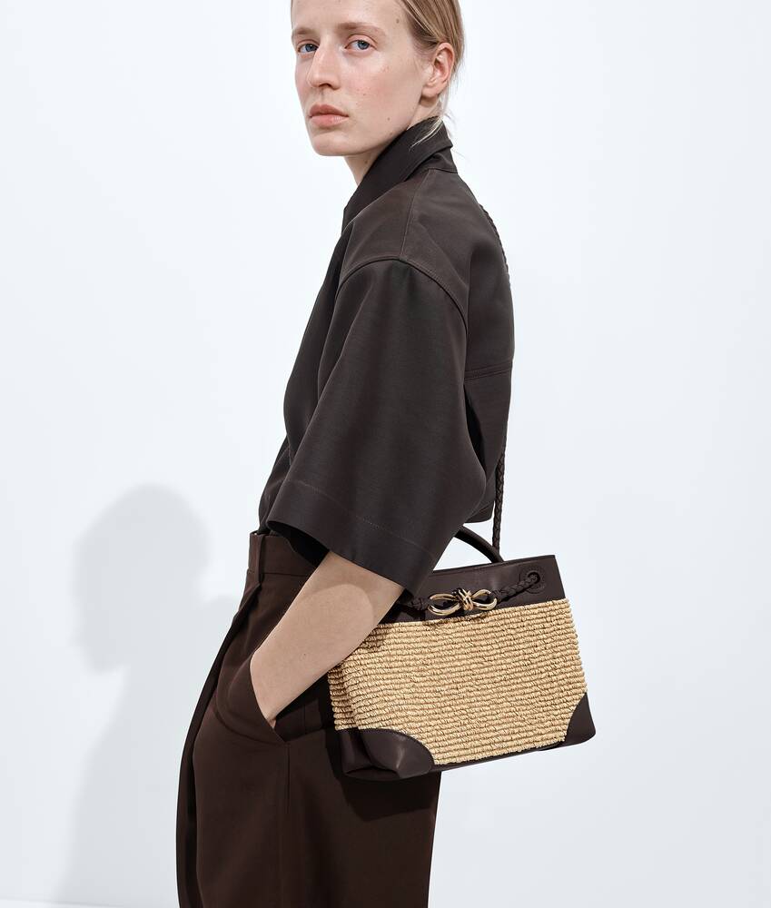 BOTTEGA VENETA 小号Andiamo手提包