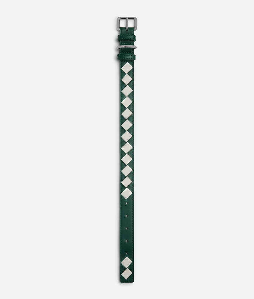 BOTTEGA VENETA 中号Intrecciato编织宠物狗项圈