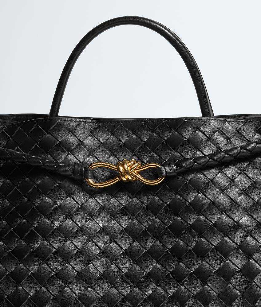 BOTTEGA VENETA Andiamo大号手提包