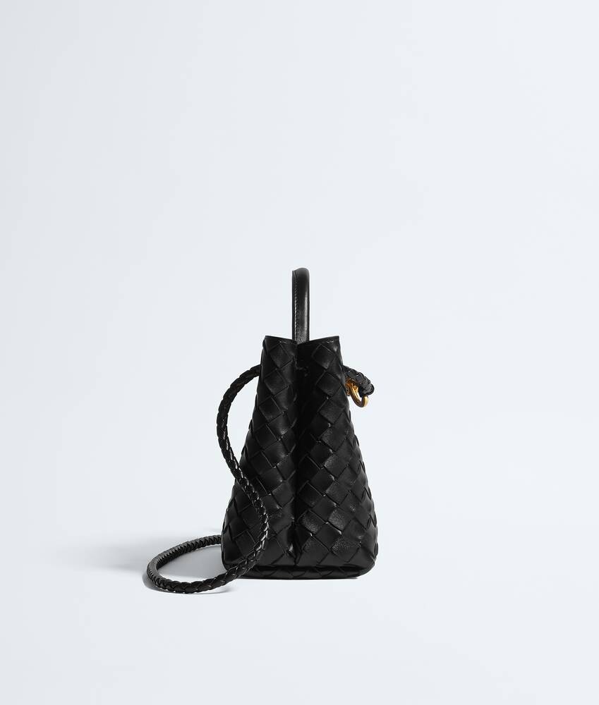 BOTTEGA VENETA 小号Andiamo手提包