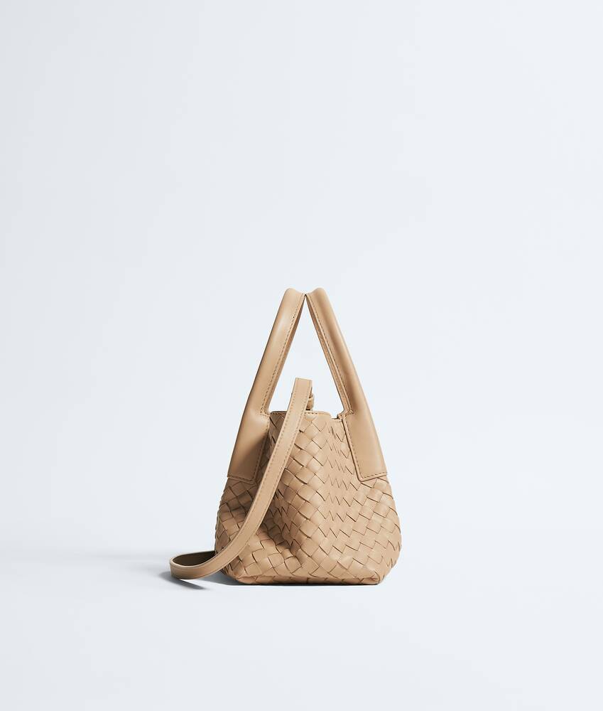 BOTTEGA VENETA 小号Pinacoteca托特手袋