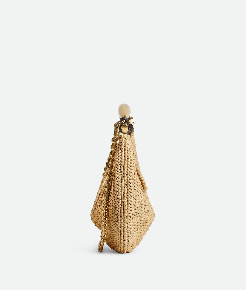 BOTTEGA VENETA Sardine链条手袋