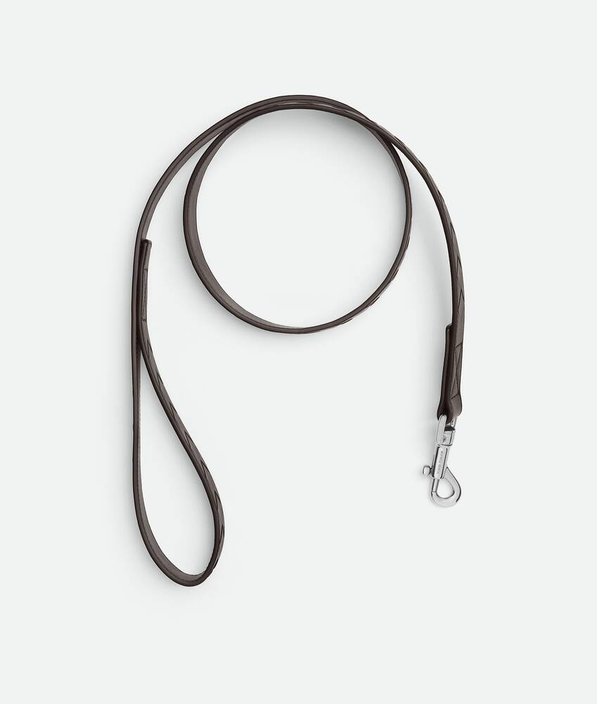 BOTTEGA VENETA 中号Intrecciato编织宠物狗牵引绳