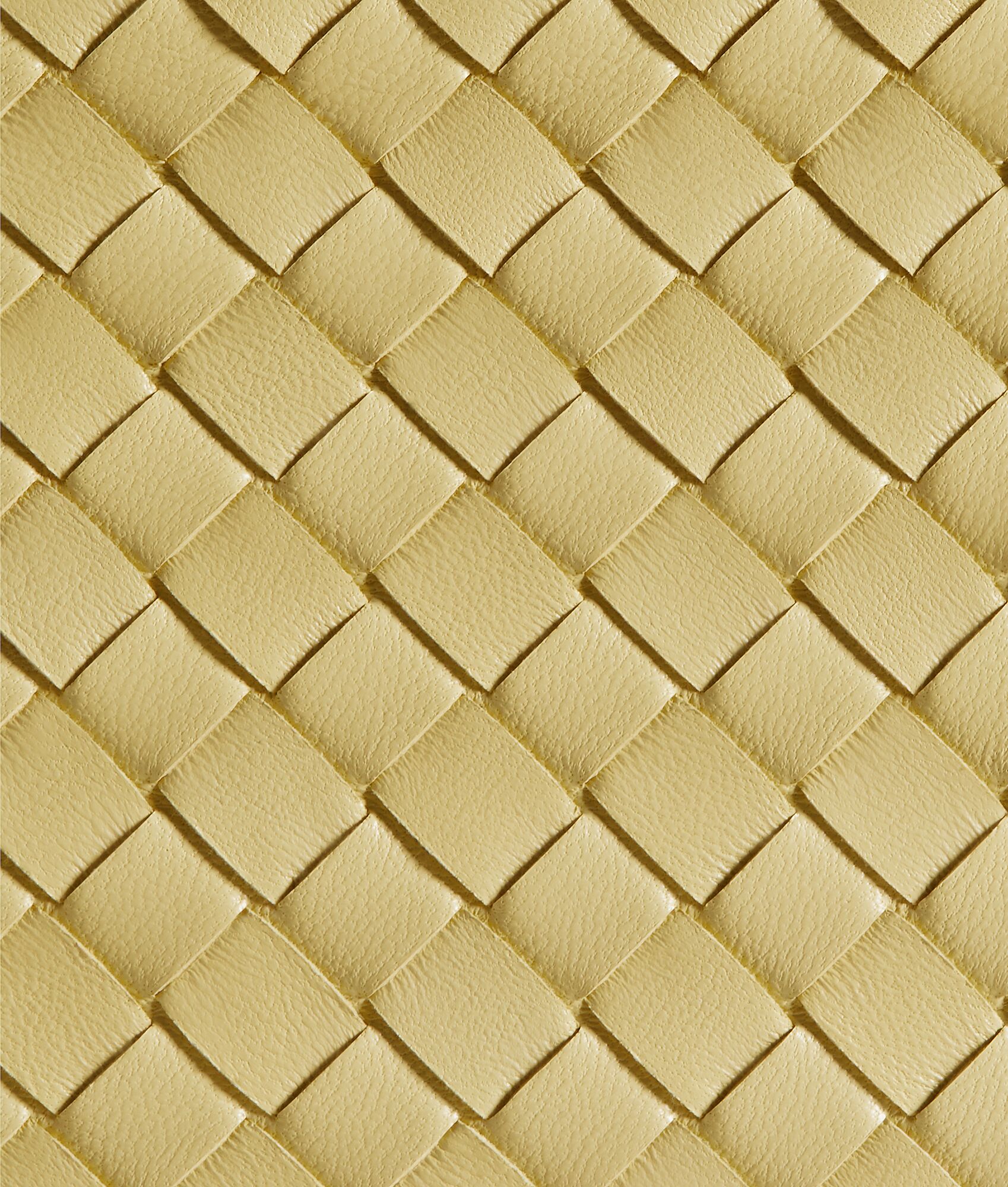 BOTTEGA VENETA Barbara托特手袋