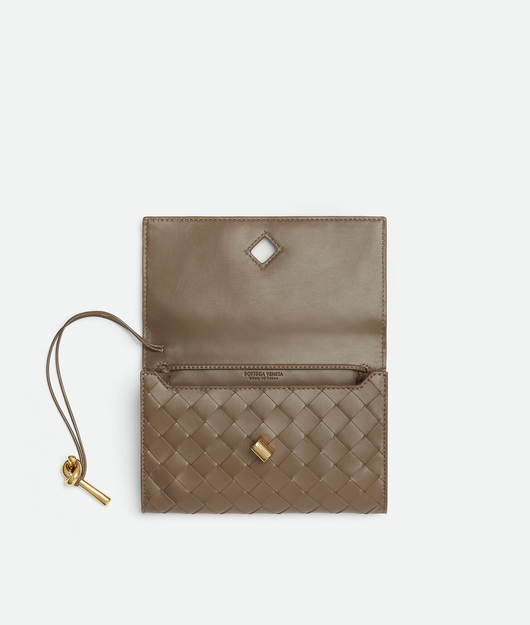 BOTTEGA VENETA Andiamo背带手拿包