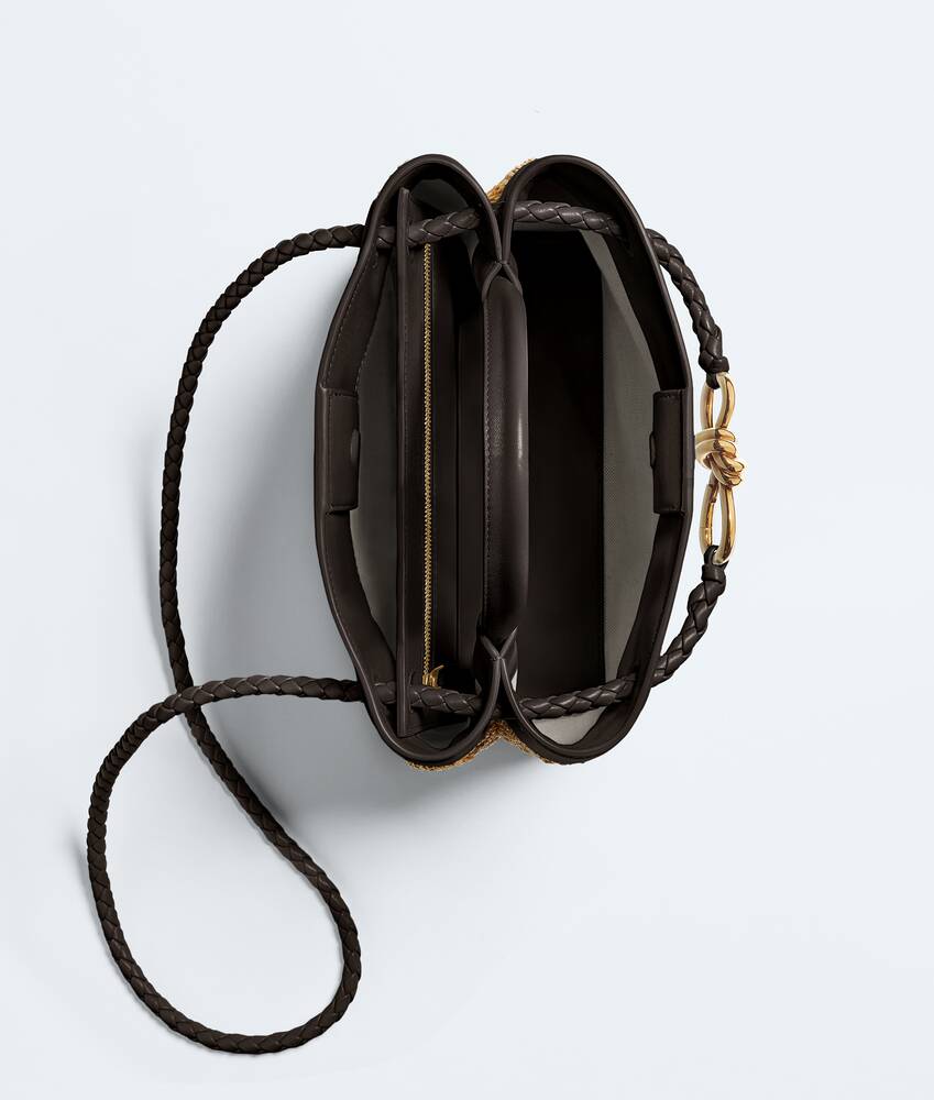 BOTTEGA VENETA 小号Andiamo手提包