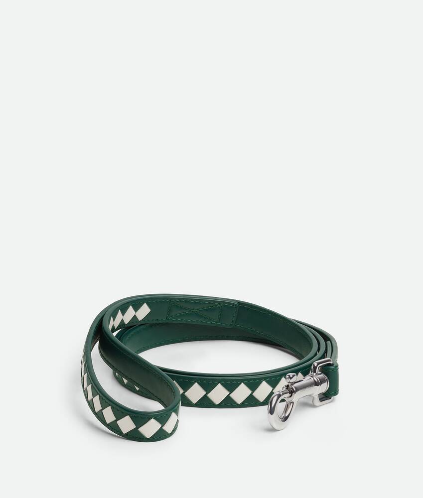 BOTTEGA VENETA 小号Intrecciato编织宠物狗牵引绳