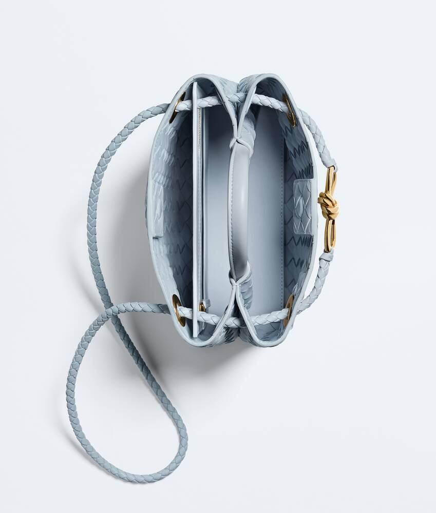 BOTTEGA VENETA 小号Andiamo手提包