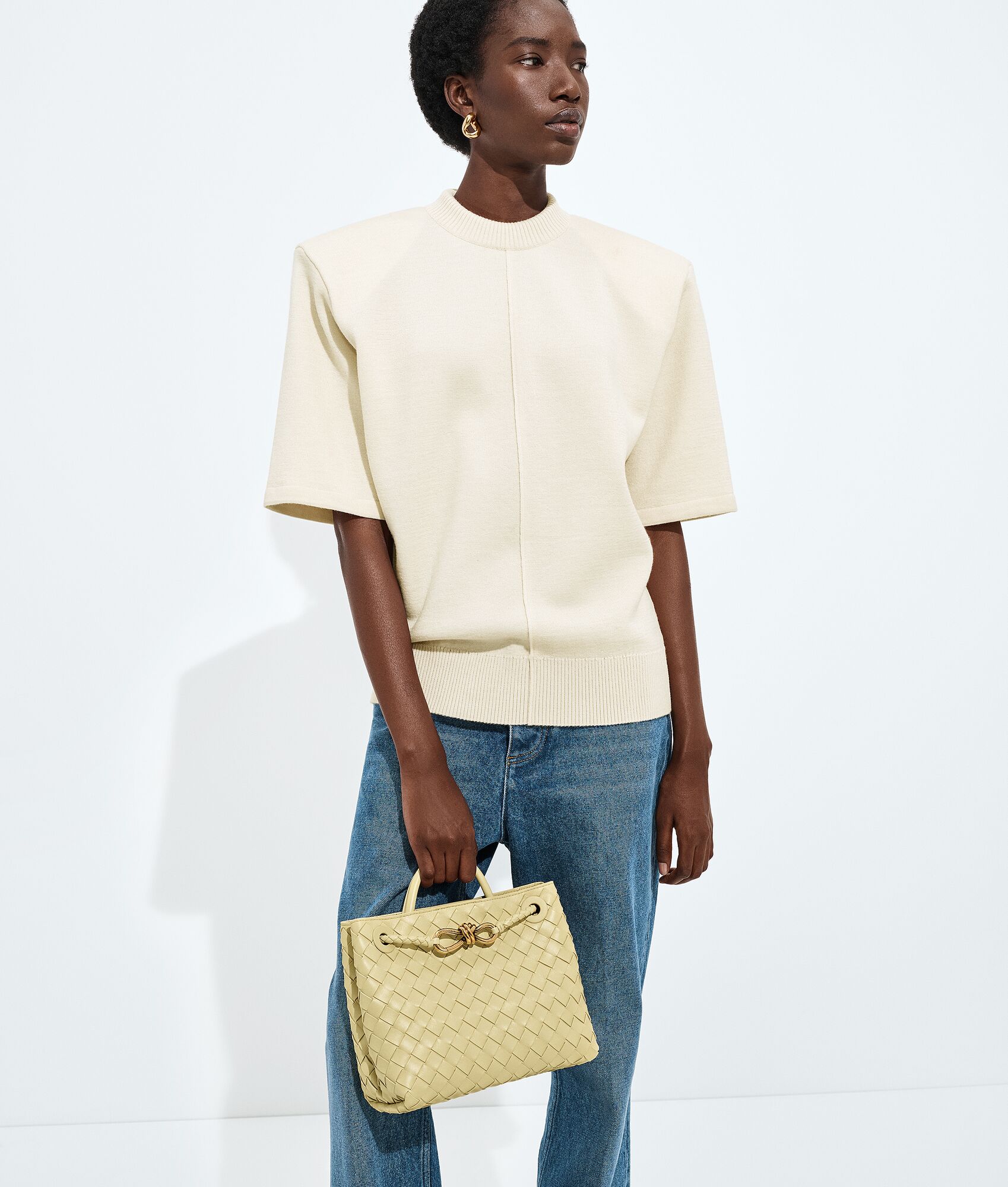 BOTTEGA VENETA 小号Andiamo手提包
