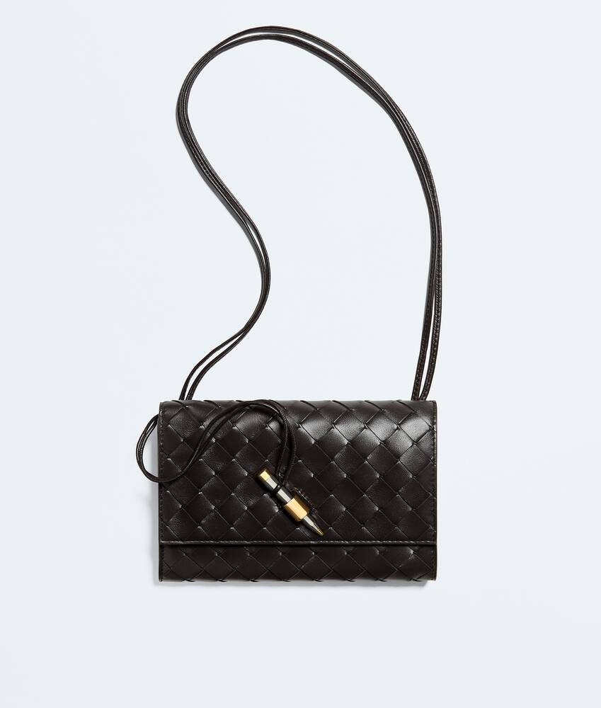 BOTTEGA VENETA Andiamo背带手拿包